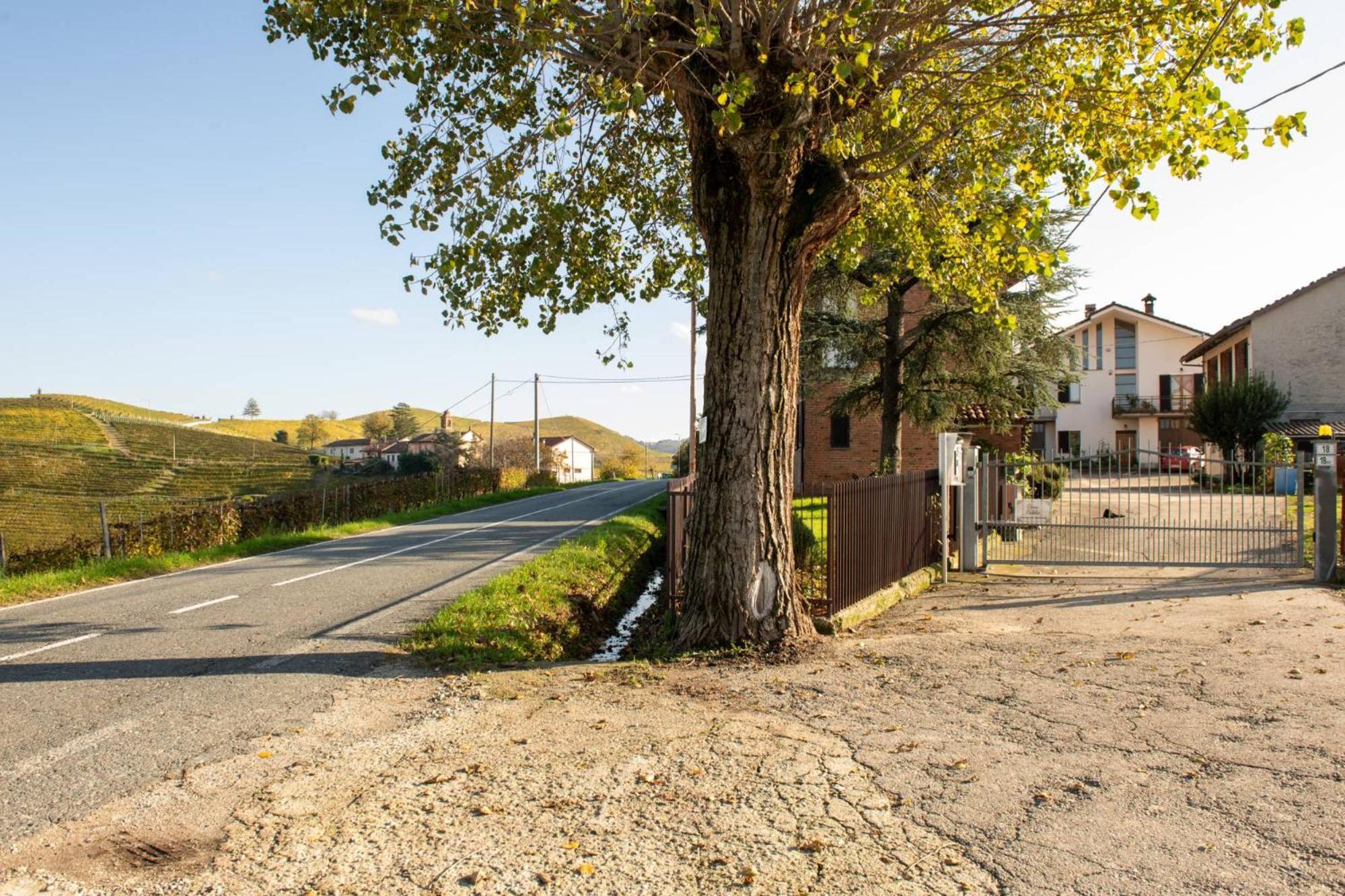 Casa Rubbo - Appartamento In Collina 'Monviso' Альба Екстер'єр фото